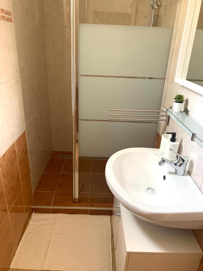 A&P Center Ljubljana Apartment מראה חיצוני תמונה